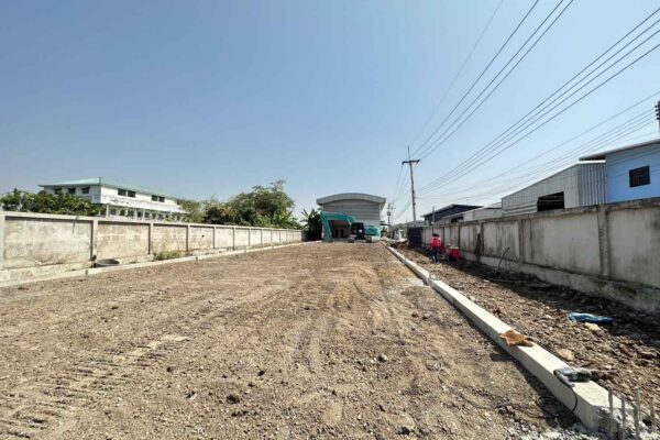 Construction Contractor (146)