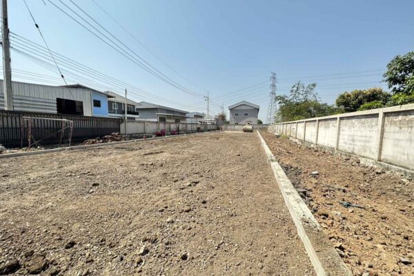 Construction Contractor (154)