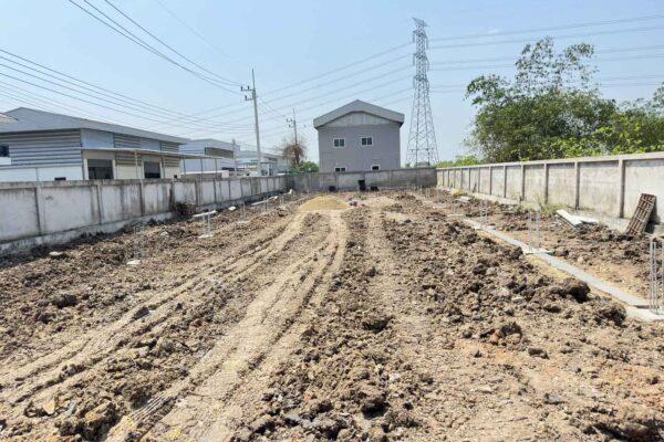 Construction Contractor (197)