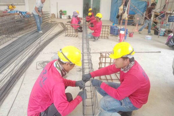 Construction Contractor (208)