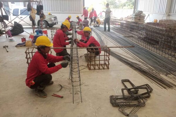 Construction Contractor (209)