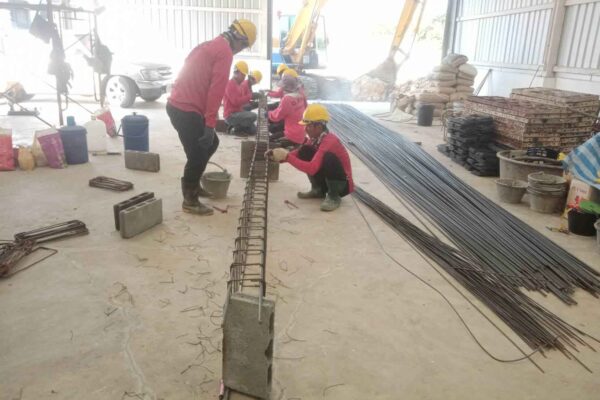 Construction Contractor (212)