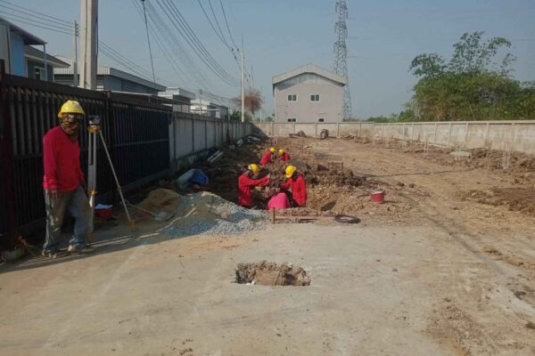 Construction Contractor (213)
