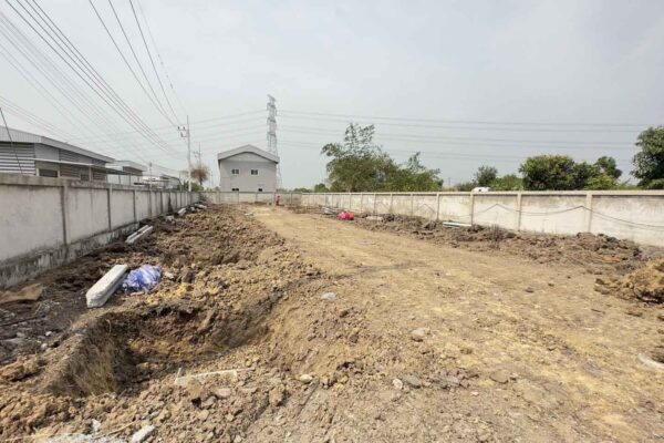 Construction Contractor (228)