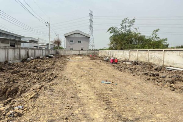 Construction Contractor (231)