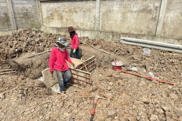 Construction Contractor (233)