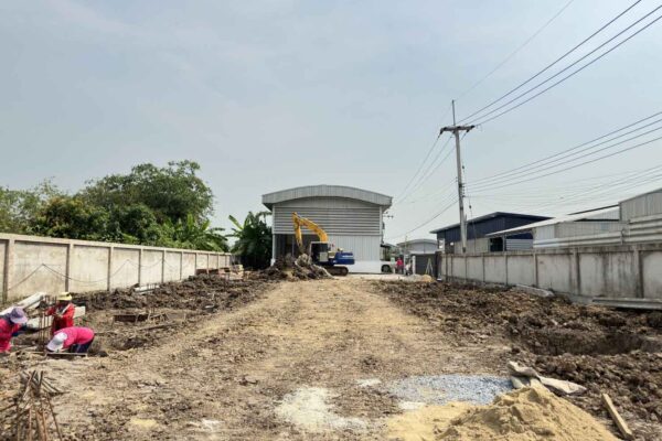 Construction Contractor (239)
