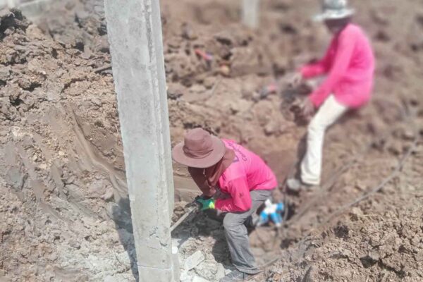 Construction Contractor (242)