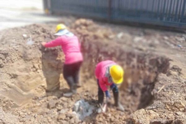 Construction Contractor (243)