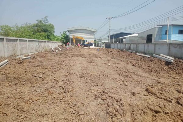 Construction Contractor (244)
