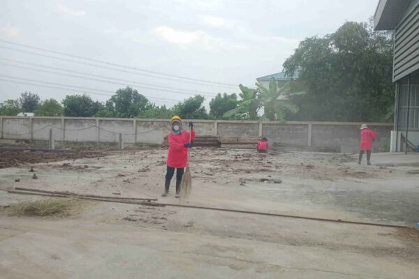 Construction Contractor (246)