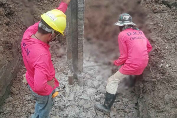 Construction Contractor (248)