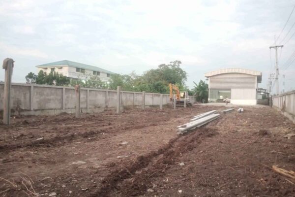 Construction Contractor (255)