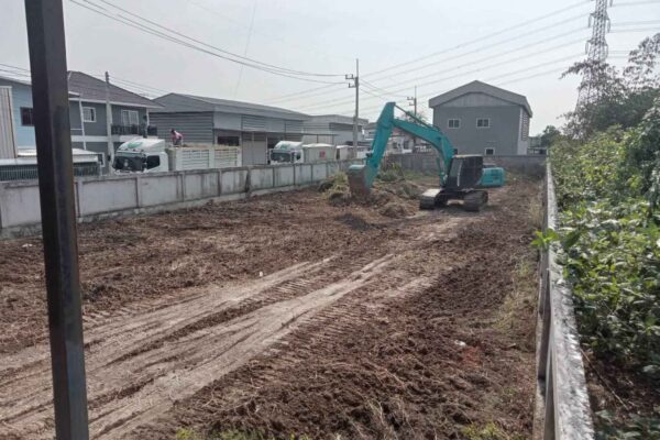 Construction Contractor (295)