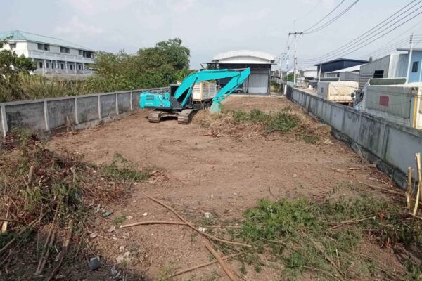 Construction Contractor (298)