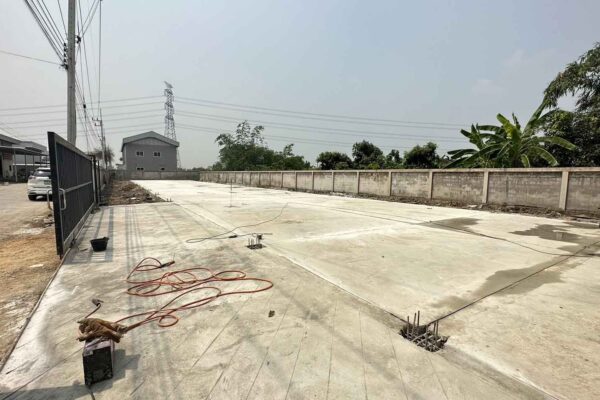 Construction Contractor (81)