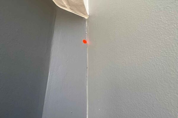 Home Inspector (11)