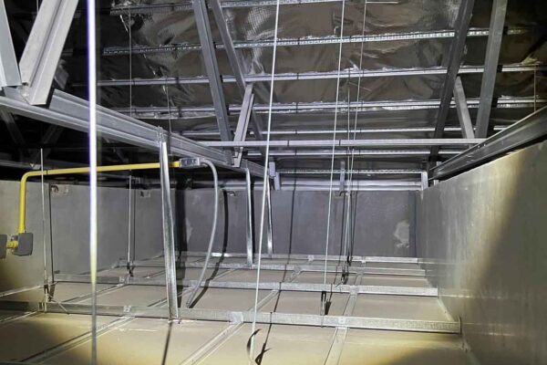 Home Inspector (117)