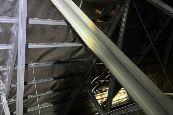 Home Inspector (118)