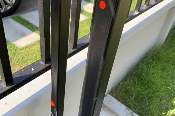 Home Inspector (124)