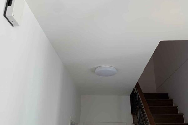 Home Inspector (133)