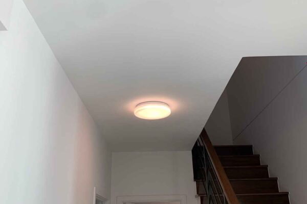 Home Inspector (134)