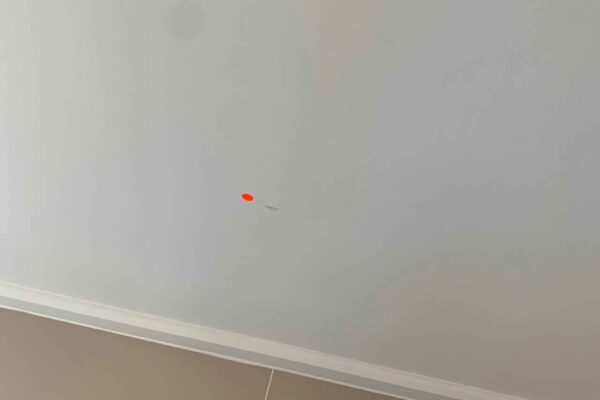 Home Inspector (136)