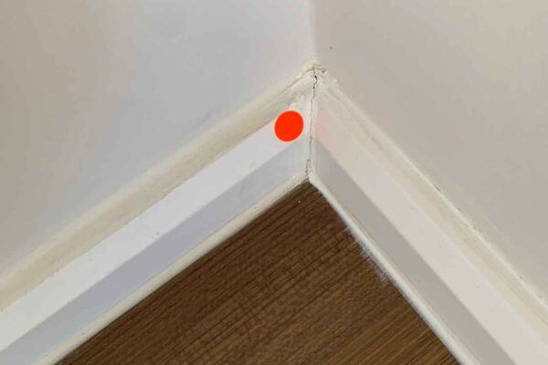 Home Inspector (140)
