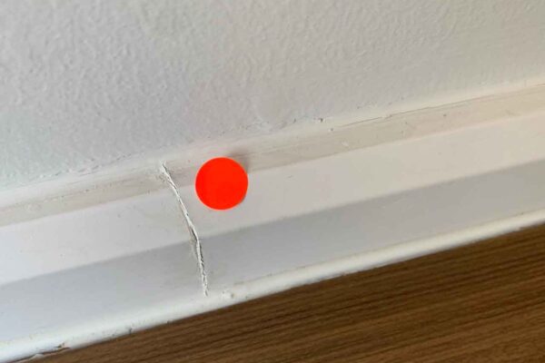 Home Inspector (144)