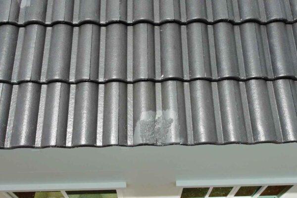 Home Inspector (25)