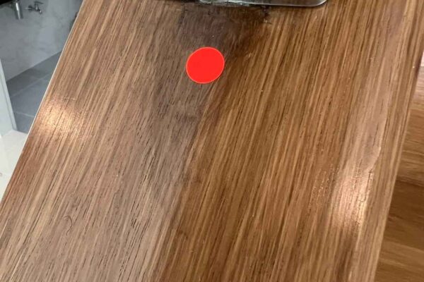 Home Inspector (39)