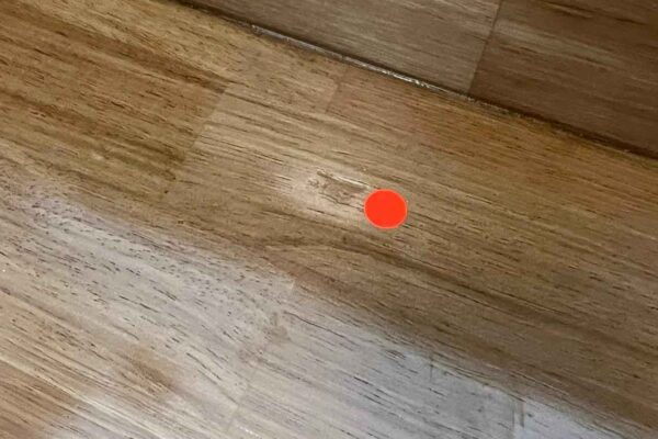 Home Inspector (43)