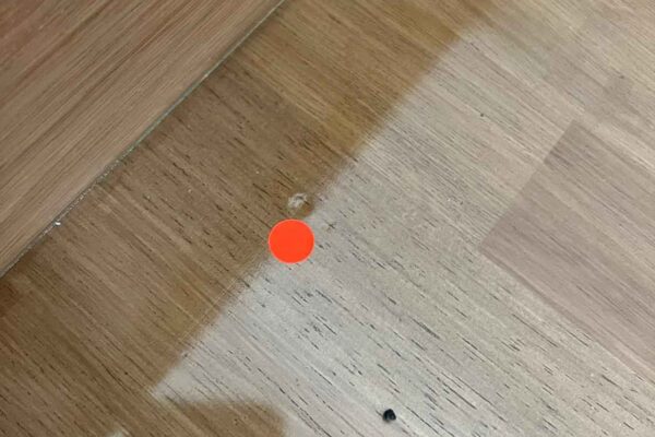 Home Inspector (44)
