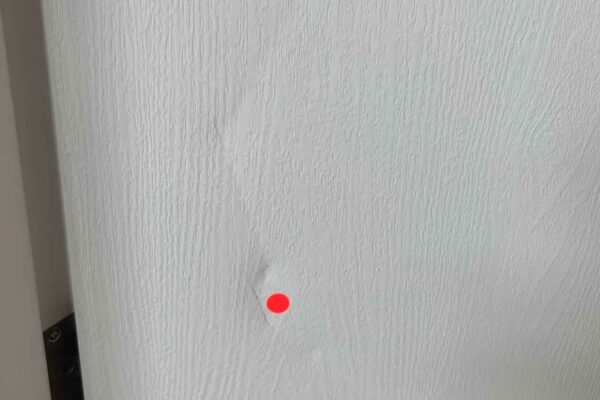 Home Inspector (56)