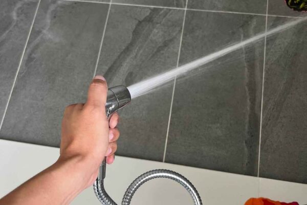 Home Inspector (61)