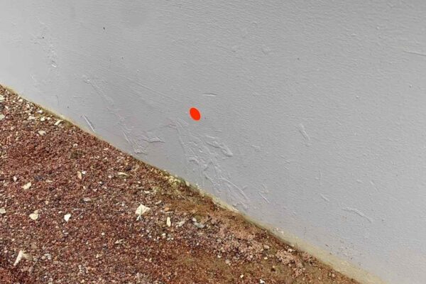 Home Inspector (74)
