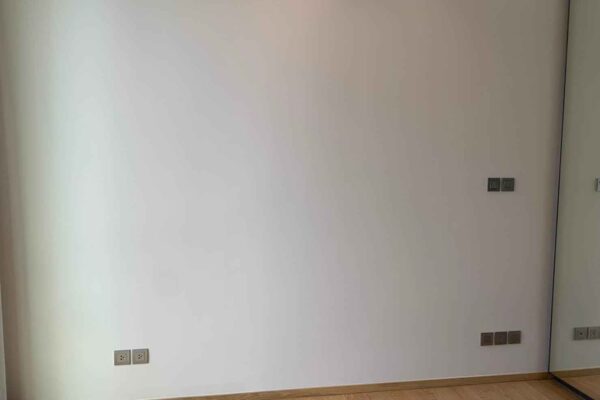 Home Inspector (96)